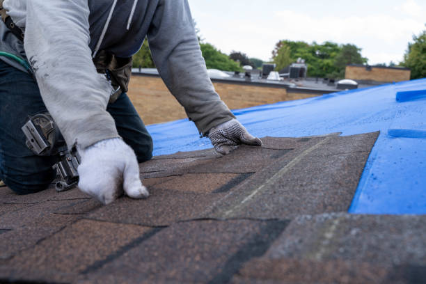 Best Residential Roofing Contractor  in Petersburg, AK