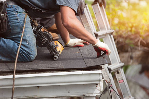 Best Sealant for Roof  in Petersburg, AK