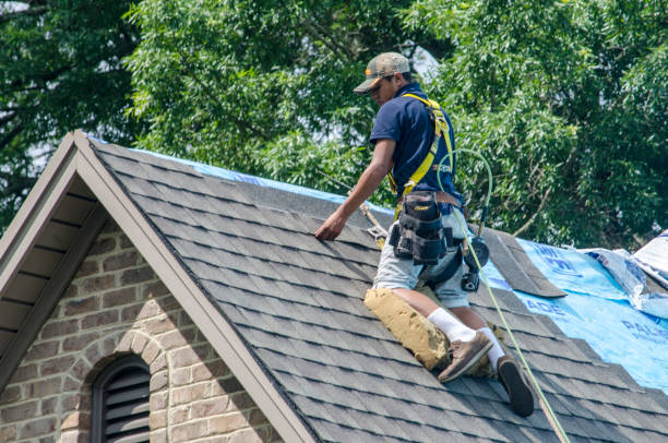 Reliable Petersburg, AK Roofing Contractor Solutions